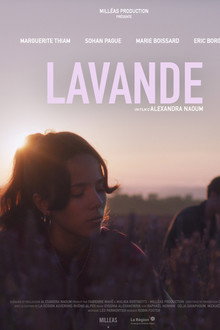Lavande