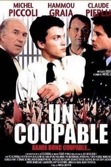 Poster do filme Un coupable