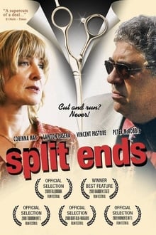 Poster do filme Split Ends