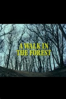 Poster do filme A Walk in the Forest