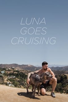 Poster do filme Luna Goes Cruising