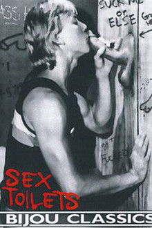 Sex toilets