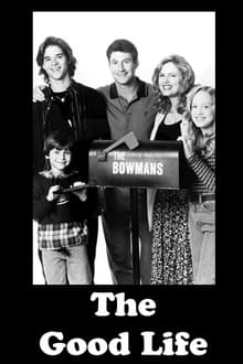 The Bowmans tv show poster