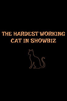 The Hardest Working Cat in Showbiz