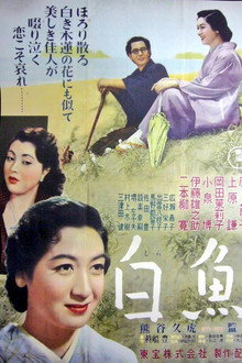 白魚
