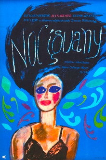 Noc Iguany