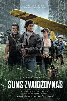 Šuns žvaigždynas