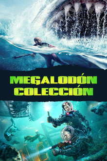 Megalodón - Colección