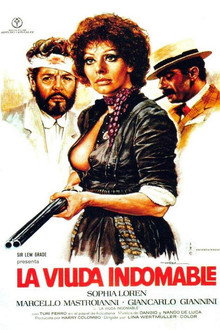 La viuda indomable