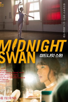 미드나잇 스완
