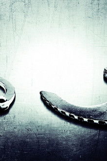 Accused-Guilty-or-Innocent?