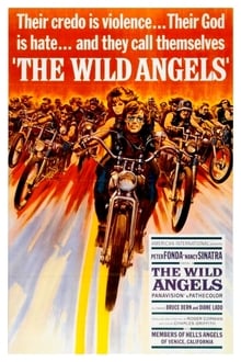 Poster do filme Anjos Selvagens