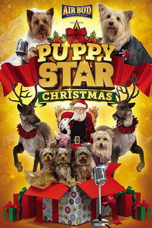 Puppy Star Christmas
