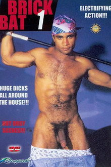 Brick Bat 1