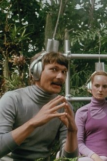 Warum-die-UFOs-unseren-Salat-klauen