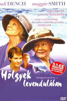 Hölgyek levendulában