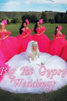 My Big Fat Gypsy Wedding