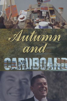 Autumn and Cardboard