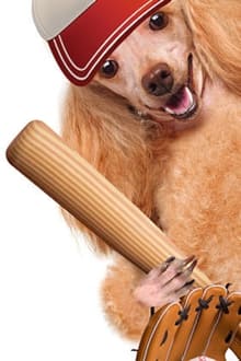 Poster do filme Hound Dogs