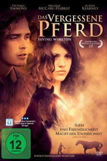 Das vergessene Pferd