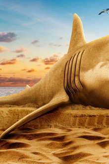 Shark-Week