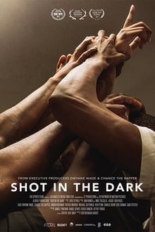Poster do filme Shot in the Dark