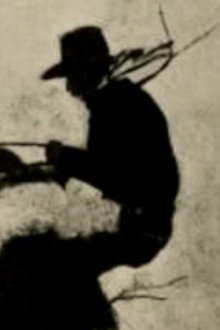 The Millionaire Cowboy
