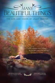 Poster do filme Many Beautiful Things
