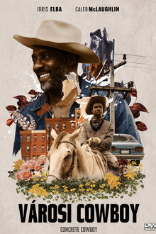 Városi cowboy