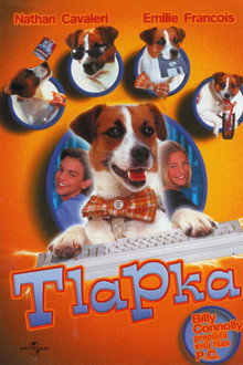 Tlapka