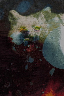 Mogwai: As the Love Continues