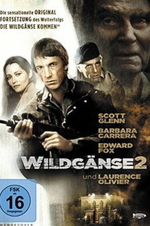 Wildgänse 2
