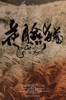 The Scar-faced Cat: Way of Asura