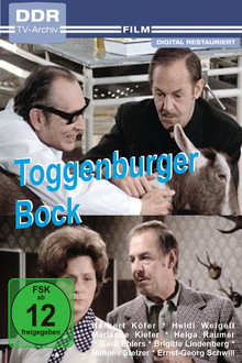 Toggenburger Bock
