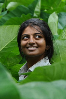கயல்