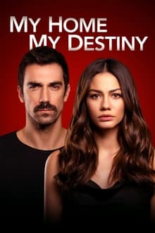 My Home My Destiny tv show poster