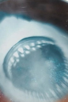 Ghost Shark 2: Urban Jaws