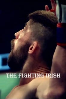 Poster do filme The Fighting Irish