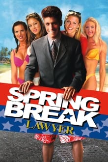 Spring Break Lawyer movie poster