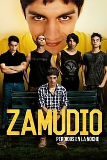 Poster da série Zamudio