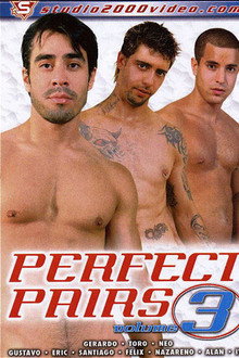 Perfect Pairs 3