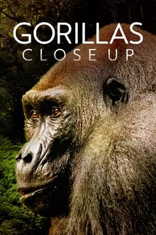 Gorillas Close Up movie poster