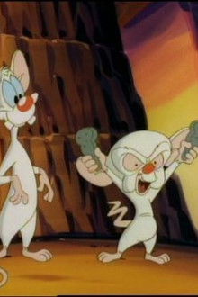 Animaniacs - Season 1