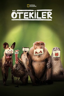 Sezon 1