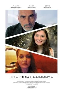 Poster do filme The First Goodbye