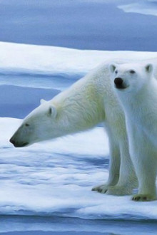Planet Earth: The Future