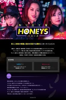 Poster da série Honeys