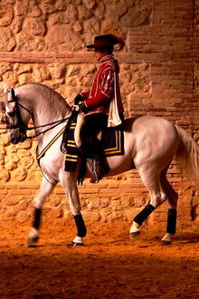 Horse of Kings, Thief of Hearts