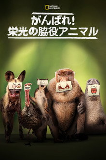 シーズン1
