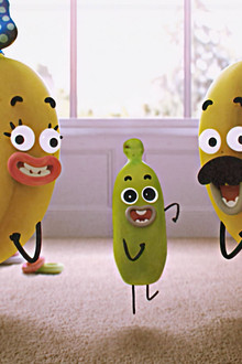 Darwin's Yearbook - Season 1